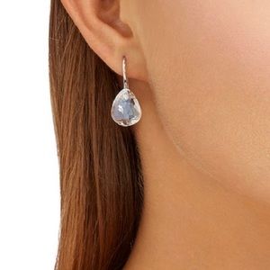 Swarovski Drop Earrings